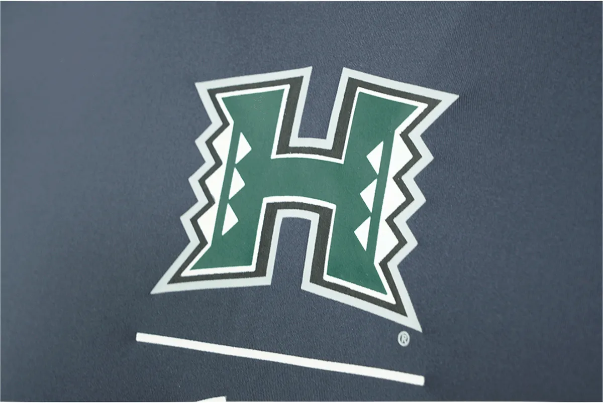 Under Armour Men's College L/S T-Shirt