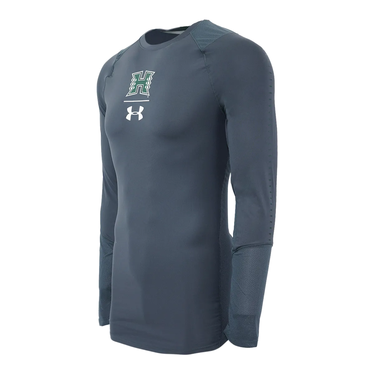 Under Armour Men's College L/S T-Shirt