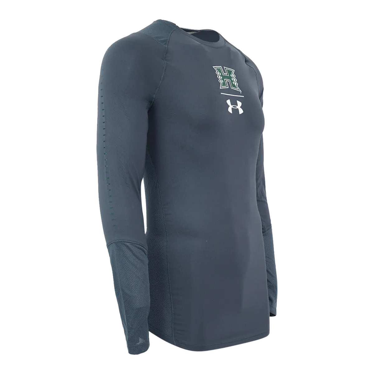 Under Armour Men's College L/S T-Shirt
